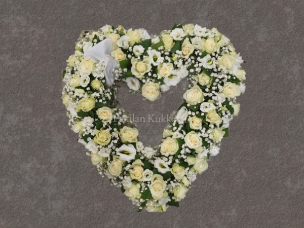 Surusydän - Valkoinen ruusu